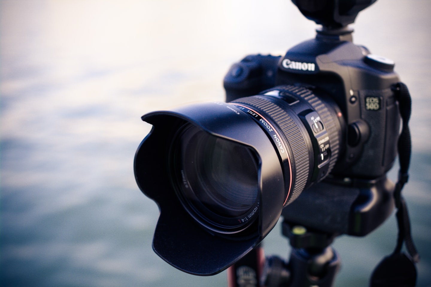 Lens of a video camera